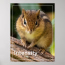 Suche nach intensität poster Wild