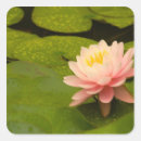 Suche nach tau aufkleber Sommer