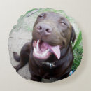 Suche nach labrador kissen Lustig