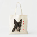 Suche nach boston terrier taschen Welpen
