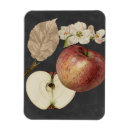 Suche nach botanisch magnete Küche