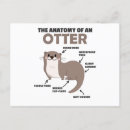 Suche nach niedlicher otter postkarten Tiere