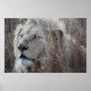 Suche nach nah poster Wild lebende tiere