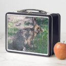 Suche nach kaninchen brotdosen Tierwelt