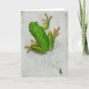 Suche nach froschliebhaber karten Froschkarte