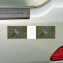 Suche nach gräser autoaufkleber Stoßstange