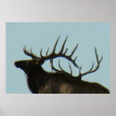 Suche nach elch silhouette poster Wapiti