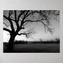 Suche nach knotig Baum