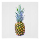 Suche nach tropische ananas poster Für sie