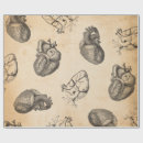 Suche nach anatomie geschenkpapier Gehirn