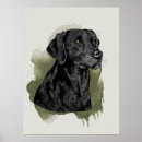 Suche nach schwarzer labrador retriever poster Jede person
