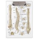 Suche nach anatomie klemmbrett Arzt