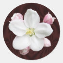 Suche nach apfelblüte aufkleber Äpfel