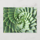 Suche nach spiral postkarten Geometrie
