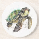 Suche nach schildkröten untersetzer Ozean