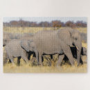 Suche nach afrikanischer elefant puzzle Jede person