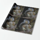 Suche nach eichhörnchen packpapier geschenkpapier Tier