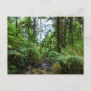 Suche nach tropischer regenwald postkarten Für sie