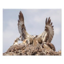 Suche nach für jäger poster Blau