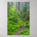 Suche nach olympischer nationalpark poster Landschaft