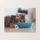 Suche nach persisch puzzle Blau
