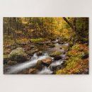 Suche nach birkenbaum puzzle Wald