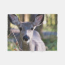 Suche nach maultier decken Schwarzwild