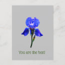 Suche nach iris postkarten Quelle