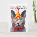 Suche nach blaue katze karten Jede person
