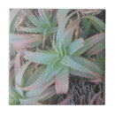 Suche nach trocken fliesen Natur