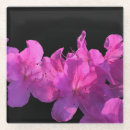 Suche nach schreiner untersetzer Flora