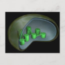 Suche nach mikrobiologie postkarten Medizin