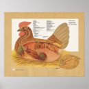 Suche nach henne poster Vogel
