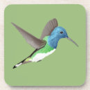 Suche nach kolibri untersetzer Blau