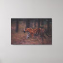 Suche nach wilder tiger leinwandbilder Horizontal