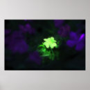 Suche nach kleeblatt poster Patricks