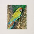 Suche nach ara puzzle Grün