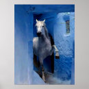 Suche nach weißes pferd poster Jede person