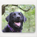 Suche nach glücklicher labrador mousepads Hund