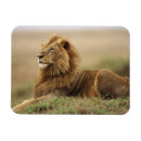 Suche nach felle magnete Afrika