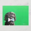 Suche nach yorkie hund postkarten Schwarz