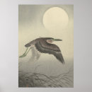 Suche nach koson poster Vogel