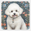 Suche nach bichon aufkleber Niedlich