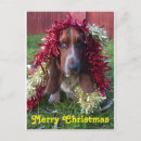 Suche nach basset jagdhund karten Fröhlich