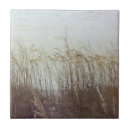 Suche nach düne fliesen Küsten