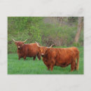 Suche nach steen postkarten Jede person