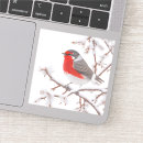Suche nach rotes rotkehlchen Für alle