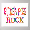 Suche nach meerschweinchen poster Haustiere