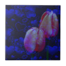 Suche nach rosa tulpen fliesen Blume