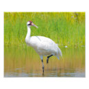 Suche nach wenden poster Tierwelt